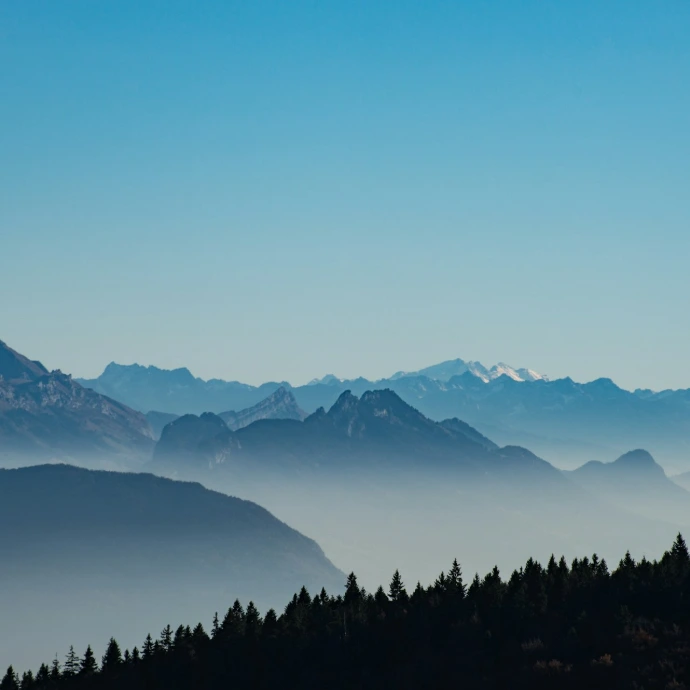 aerial view photography of trees and mountains