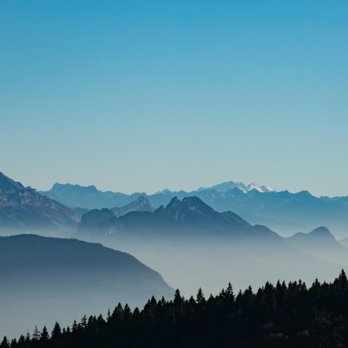 aerial view photography of trees and mountains